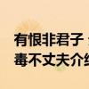 有恨非君子 无毒不丈夫（关于有恨非君子 无毒不丈夫介绍）