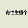 有性生殖个体（关于有性生殖个体介绍）