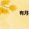有月初（关于有月初介绍）