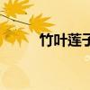 竹叶莲子心一起泡水喝（竹叶莲）
