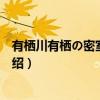 有栖川有栖の密室大図鉴（关于有栖川有栖の密室大図鉴介绍）