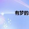 有梦的人（关于有梦的人介绍）