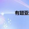 有翅亚组（关于有翅亚组介绍）