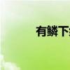 有鳞下纲（关于有鳞下纲介绍）