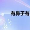 有鼻子有眼（关于有鼻子有眼介绍）
