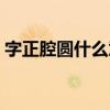 字正腔圆什么意思解释（字正腔圆什么意思）