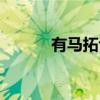 有马拓也（关于有马拓也介绍）
