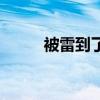 被雷到了的图片大全（被雷到了）