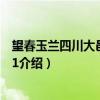 望春玉兰四川大邑优株001（关于望春玉兰四川大邑优株001介绍）