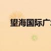 望海国际广场（关于望海国际广场介绍）