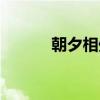 朝夕相处（关于朝夕相处介绍）