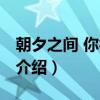 朝夕之间 你亦未变（关于朝夕之间 你亦未变介绍）