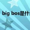 big bos是什么意思（bigboss是什么意思）