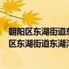 朝阳区东湖街道东湖湾社区管城理市志愿服务队（关于朝阳区东湖街道东湖湾社区管城理市志愿服务队介绍）