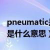 pneumatic是什么意思（pneumatic tokyo是什么意思）