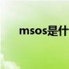 msos是什么意思（MSO是什么意思）