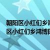 朝阳区小红们乡鸿博四社区管城理市志愿服务队（关于朝阳区小红们乡鸿博四社区管城理市志愿服务队介绍）