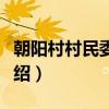 朝阳村村民委员会（关于朝阳村村民委员会介绍）