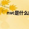 nvc是什么的缩写（Nvcpl是什么意思）