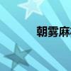 朝雾麻衣（关于朝雾麻衣介绍）