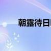 朝露待日晞（关于朝露待日晞介绍）