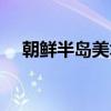 朝鲜半岛美术（关于朝鲜半岛美术介绍）