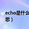 echo是什么意思中文翻译（ECHO是什么意思）