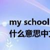 my school life是什么意思（its my life 是什么意思中文）