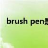 brush pen是什么意思（pen是什么意思）