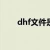 dhf文件是什么意思（DHF 是什么）