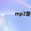 mp2是什么单位（mp2是什么）