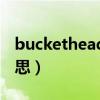 buckethead真面目（Buckethead是什么意思）