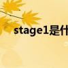 stage1是什么意思（stage是什么意思）