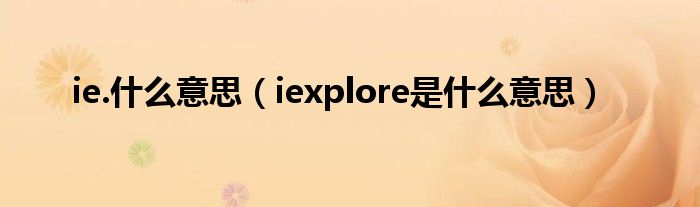 是什么意思什么意思iexplore