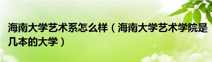 海南大学艺术系艺术学院几本大学