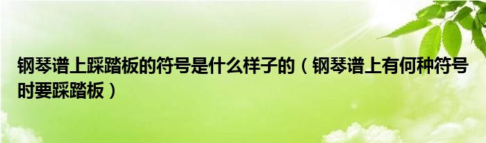 踩踏符号钢琴谱上有时要是什么样子何种