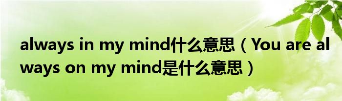 是什么意思什么意思mind