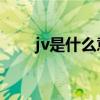 jv是什么意思中文（JV是什么意思）