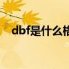 dbf是什么格式的文件（dbf是什么格式）