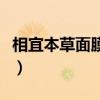 相宜本草面膜怎么样啊（相宜本草面膜怎么样）