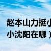 赵本山力挺小沈阳（赵本三得了什么病严重吗小沈阳在哪）