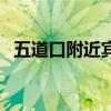 五道口附近宾馆预订（五道口宾馆怎么样）