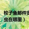 梭子鱼邮件安全网关（魔兽世界喜欢梭子鱼尸虫在哪里）