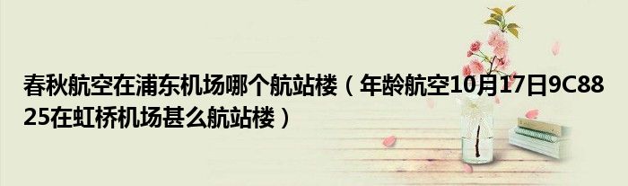 春秋航空在浦东机场哪个航站楼（年龄航空10月17日9C8825在虹桥机场甚么航站楼）