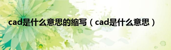cad是什么意思的缩写（cad是什么意思）