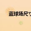 蓝球场尺寸标准是多少（蓝球场尺寸）