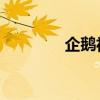 企鹅社区 知乎（企鹅社区）