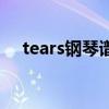 tears钢琴谱带指法（tears钢琴曲简谱）