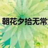 朝花夕拾无常赏析视频（朝花夕拾无常赏析）