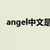 angel中文是什么意思?（angel中文意思）